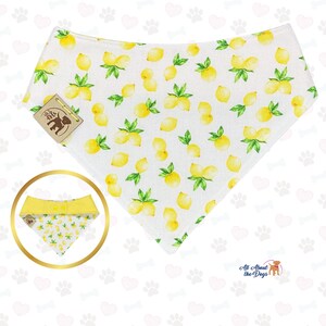 Pu&ograve; includere: Bandana bianca per cani con un motivo ripetuto di limoni gialli e foglie verdi. La bandana ha una forma triangolare e una piccola etichetta con un logo di orso marrone. Una bandana pi&ugrave; piccola, gialla e bianca, &egrave; mostrata in un cerchio dorato.