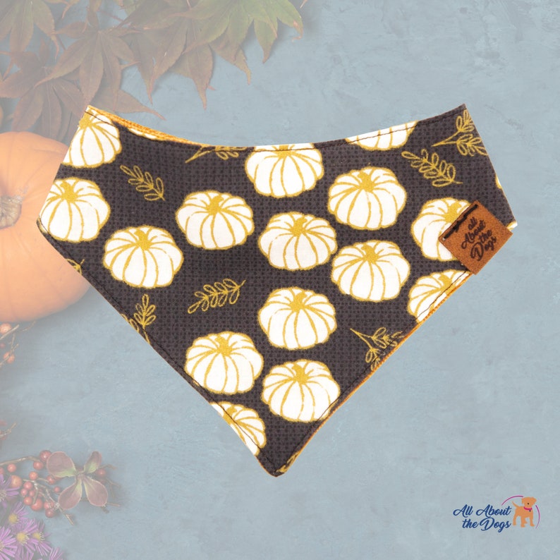 May include: A black dog bandana featuring a pattern of white pumpkins and gold leaves. It has a brown leather tag with the text "All About the Dogs". The bandana is edged with gold. The design evokes an autumnal theme.
