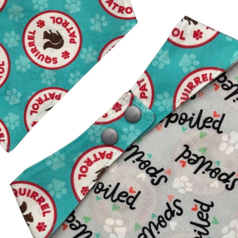 May include: Dog bandana with a teal background featuring white paw prints and red and white "Squirrel Patrol" circles. The bandana has gray snaps and a gray and white "Spoiled" print.