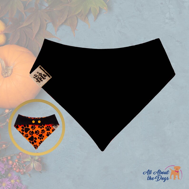 Peut inclure: Bandana noire pour chien avec une petite &eacute;tiquette &laquo; All About the Dogs &raquo;. Un encart montre un bandana orange et noir avec des empreintes de pattes et deux boutons jaunes. Le fond comprend une citrouille et des feuilles d'automne.