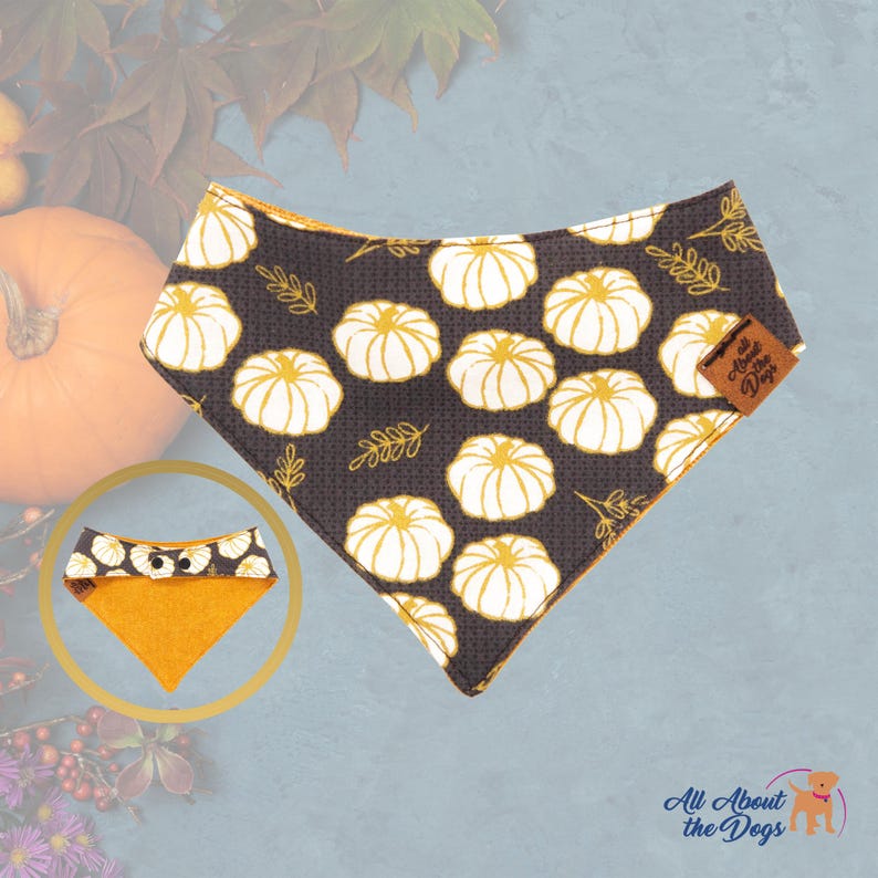 May include: A black dog bandana featuring a pattern of white pumpkins and gold details. The bandana has a gold trim and a small leather tag with the text "All About the Dogs". A smaller version of the bandana is shown in a circular inset.