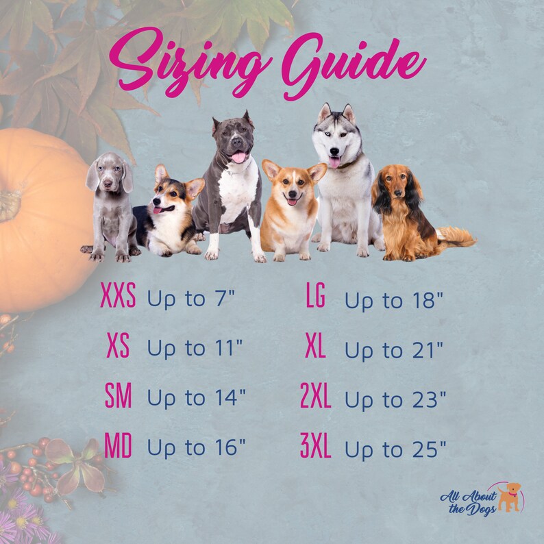 Pu&ograve; includere: Una guida alle taglie per cani con il testo "Sizing Guide" in corsivo rosa. La guida mostra varie razze di cani e misure di taglia da XXS fino a 17,78 cm a 3XL fino a 63,5 cm. Il logo "All About the Dogs" si trova in basso a destra.