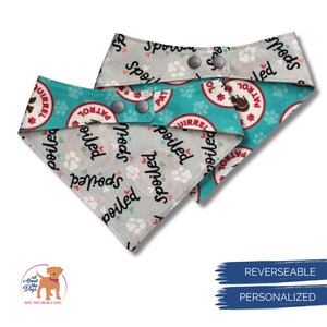 May include: Two reversible dog bandanas. One side is light gray with paw prints and the word "spoiled". The other side is teal with "Squirrel Patrol" and paw prints. The bandanas have snap closures.