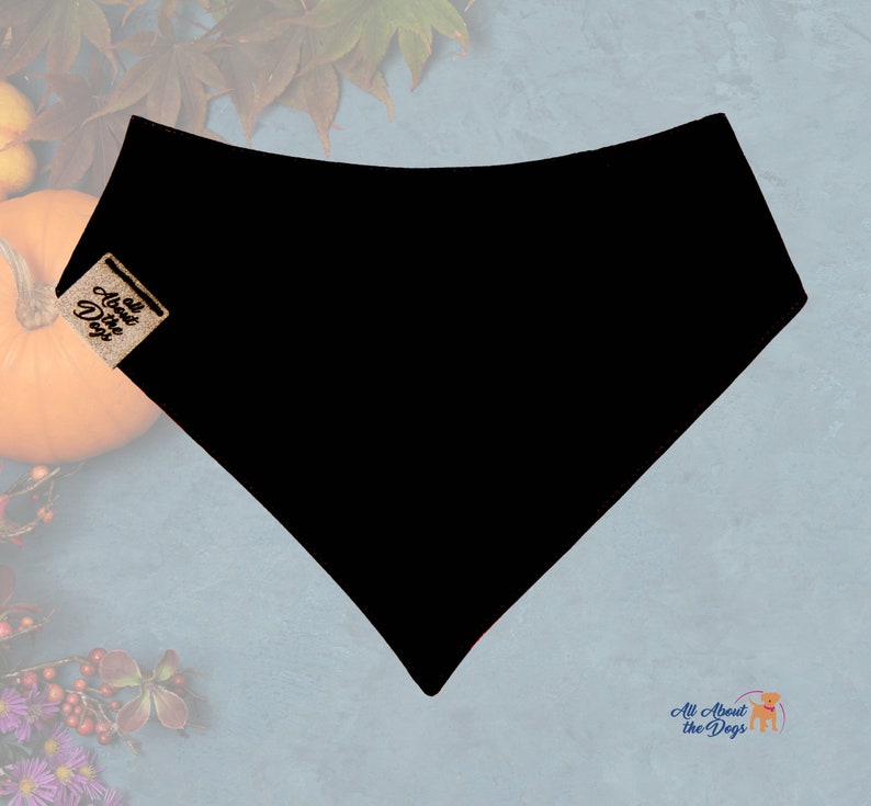 Peut inclure: Bandana noire pour chien, de forme triangulaire. L'accessoire porte une petite &eacute;tiquette avec le texte "All About the Dogs". L'arri&egrave;re-plan comprend une citrouille et des feuilles d'automne.