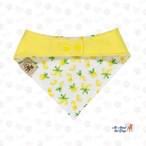 Pu&ograve; includere: Bandana per cani gialla e bianca con motivo a limoni. La bandana ha un colletto giallo con due bottoni gialli. Il tessuto principale &egrave; bianco con un motivo ripetuto di limoni gialli e foglie verdi. &Egrave; attaccata una piccola etichetta con un logo di cane.