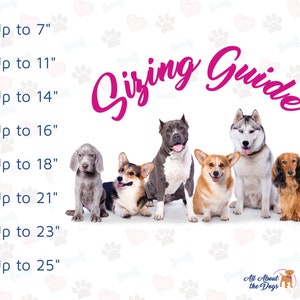 Pu&ograve; includere: Una guida alle taglie per cani con immagini di varie razze. Le taglie vanno da XXS fino a 18 cm a 3XL fino a 64 cm. Il testo rosa in corsivo dice "Sizing Guide". Il logo "All About the Dogs" si trova in basso a destra.
