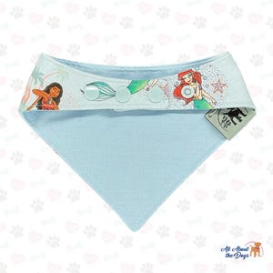 Peut inclure: Bandana bleu clair pour chien avec col blanc orn&eacute; de personnages de dessins anim&eacute;s. Le col comporte trois boutons vert clair et une &eacute;tiquette avec une silhouette de chien noir. Le bandana est de forme triangulaire.