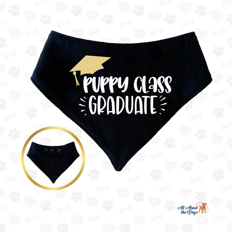 May include: Black bandana with a gold graduation cap and the text "Puppy Class Graduate" in white.
