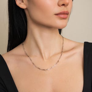 May include: A delicate silver-coloured paperclip chain necklace. The necklace is worn around the neck and rests on the collarbone. The chain is made of small, rectangular links.