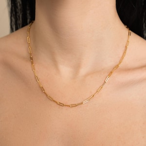 May include: A gold-coloured paperclip chain necklace. The necklace is made of small, rectangular links. The chain is worn around the neck and rests on the chest.