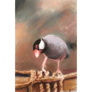 Dipinto a olio originale di Java Sparrow – Piccola arte di uccelli su passepartout