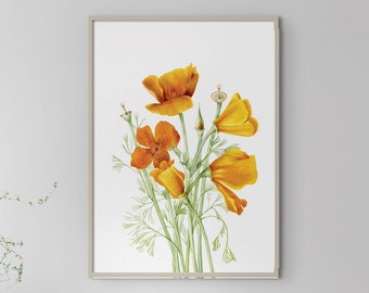 Poppies Wall Art | Watercolor Print | Floral Decor | Printable Wall Art - Downloadable Digital File