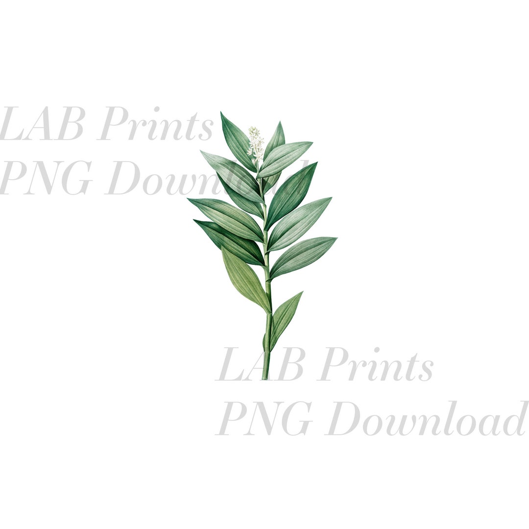 Green Blue Leaves PNG Digital Clip Art File - Etsy