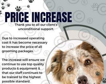 Dog grooming salon equipment packages hotsell