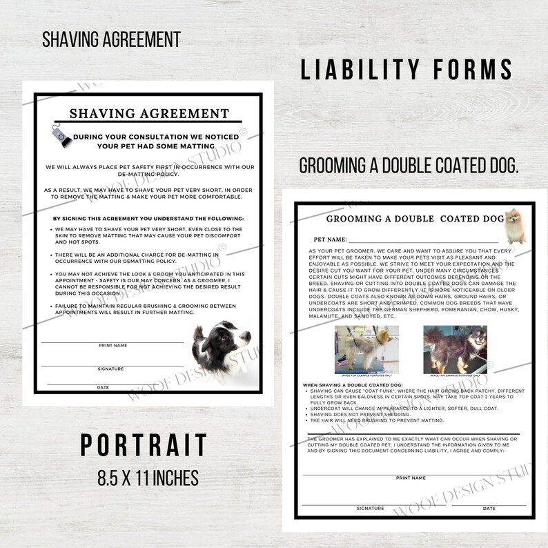 Complete Dog Grooming Package Dog Grooming Essentials Etsy