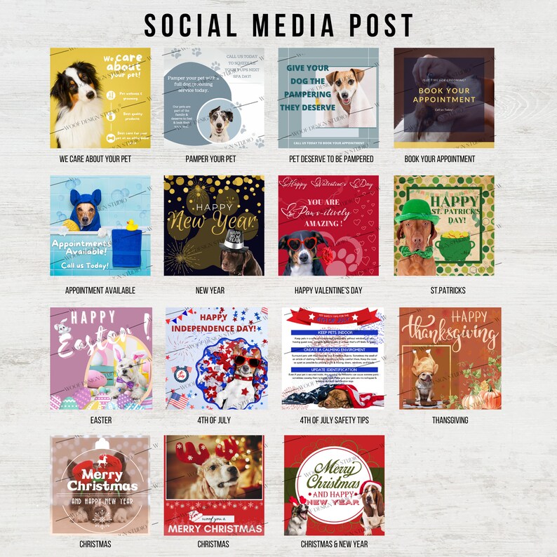 Complete Dog Grooming Package Dog Grooming Essentials Etsy