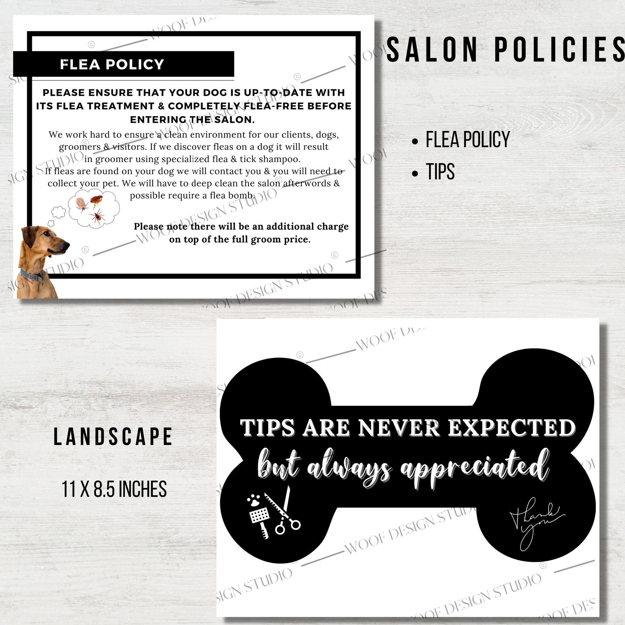 Complete Dog Grooming Package Dog Grooming Essentials Etsy