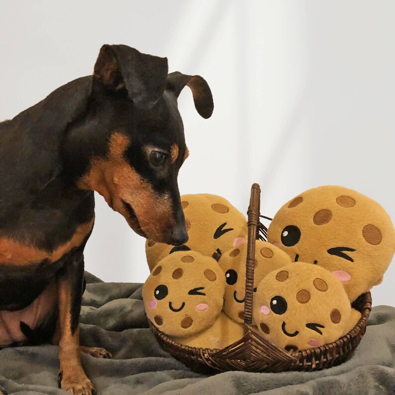 Hundespielzeug, Cookie, Plüsch, Hunde Spielzeug, Geschenk für Hunde, Spielzeug Hund, Hundezubehör, Hundebedarf, Hundegeschenk, Bild 5