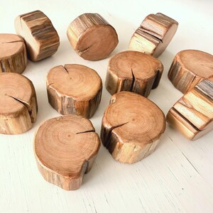 May include: A collection of ten small, cylindrical wooden blocks, each featuring a natural light brown wood grain and a single vertical slit cut into the top surface. The pieces are arranged in a scattered formation, showcasing the varied bark textures.