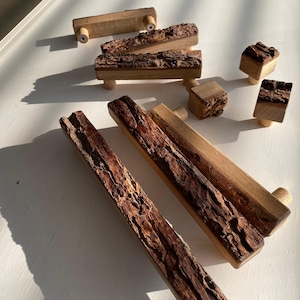 Oak Bark Handles Exceptional Interior Forest Theme Room.