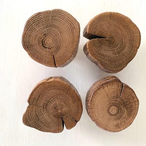 Può includere: Quattro sottobicchieri in legno con finitura in legno naturale. Ogni sottobicchiere presenta un motivo unico di venatura del legno con anelli visibili.