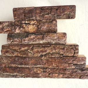 Oak Bark Handles Exceptional Interior Detail Forest Theme Room.