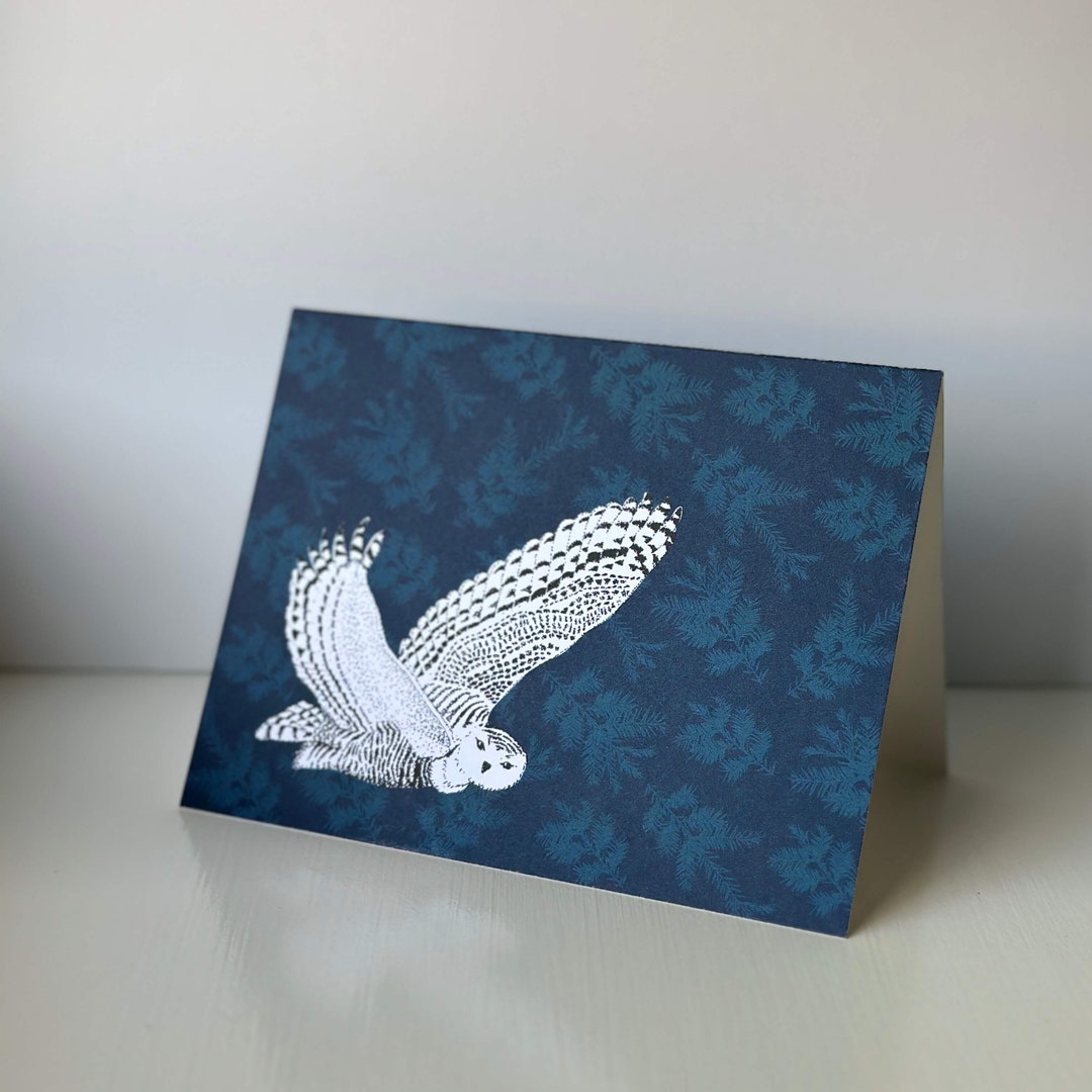 Snowy Owl Card Set (8 Cards and Envelopes), Greeting Cards, Blue ...