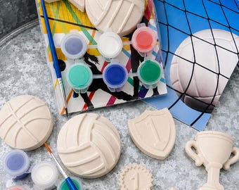 Peignez votre propre kit d'artisanat de volleyball | Activité de fête sportive, cadeau d'équipe, sac cadeau d'anniversaire