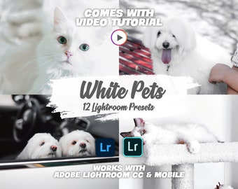 12 White Pets Lightroom Presets, Lightroom Photo Editing Filters