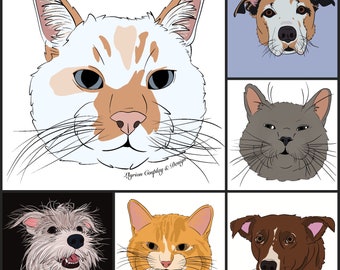 May include: A collage of six different animal portraits, including a white and orange cat, a brown and white dog, a grey cat, a brown dog, a white and orange cat, and a white and grey dog.