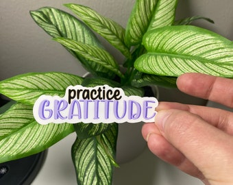 Practice Gratitude| Self-Care Design, Free You Mind, Vinyl Waterproof, Self Care, Positivity Sticker, Decal, Sticker Gifts