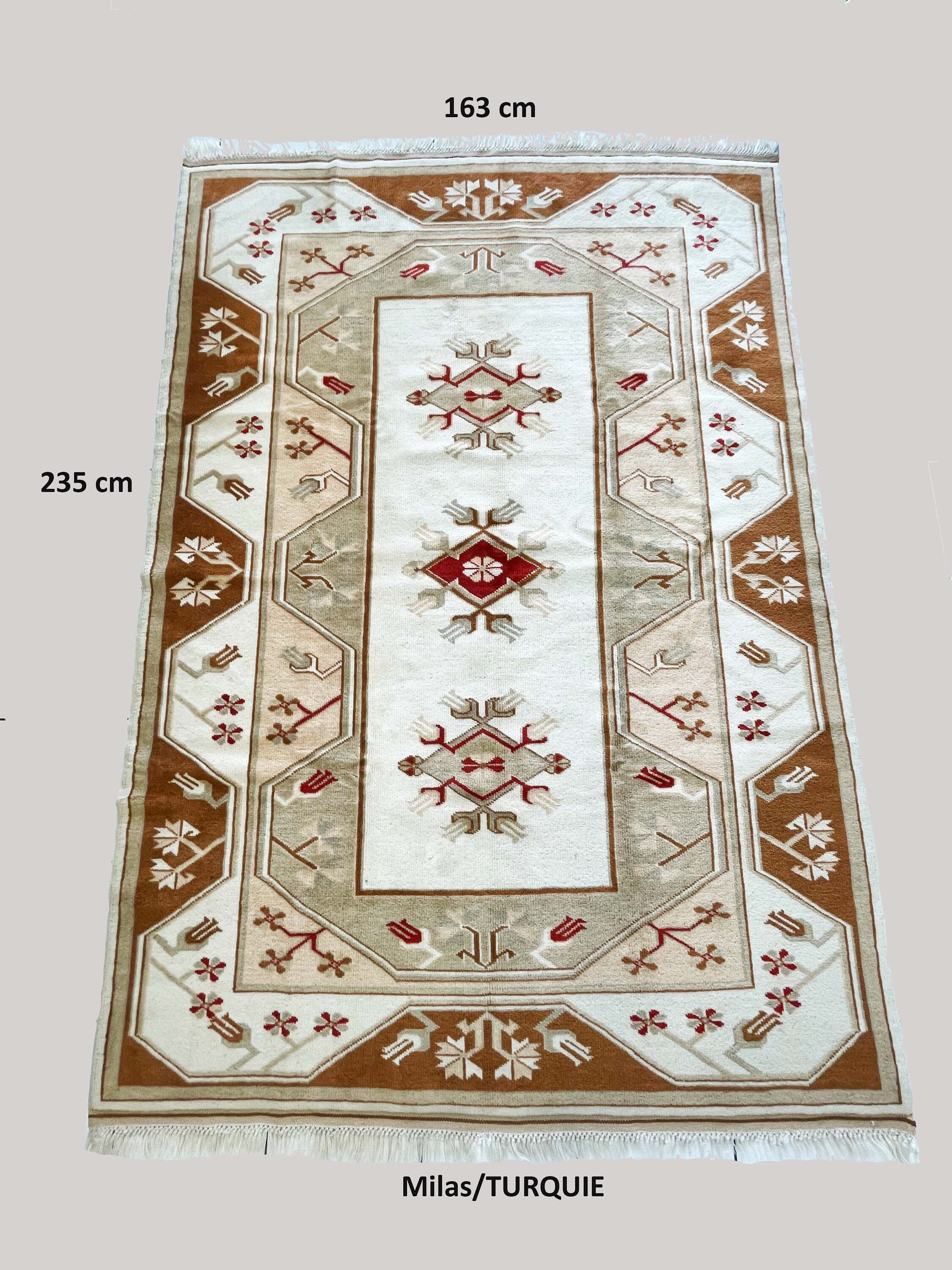 Tapis & Rugs Aux Couleurs Exceptionel 100% Hand Made