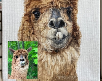 May include: A painting of a brown alpaca with a white background. The alpaca is looking directly at the viewer with its tongue sticking out. The painting is signed "TRICOU" in the bottom right corner.