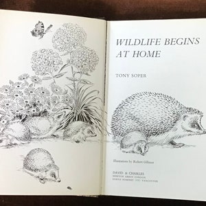 May include: Black and white illustration of a book cover with the title "Wildlife Begins at Home" by Tony Soper. The cover features a drawing of a hedgehog and its young.