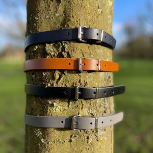 May include: Four leather belts with silver buckles wrapped around a tree trunk. The belts are black, brown, gray, and black.