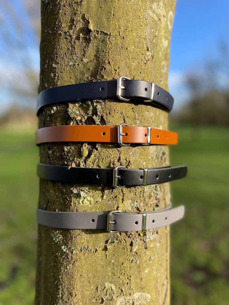 May include: Four leather belts with silver buckles wrapped around a tree trunk. The belts are black, brown, gray, and black.