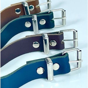 May include: Four leather dog collars with silver buckles. The collars are brown, dark brown, blue, and green.