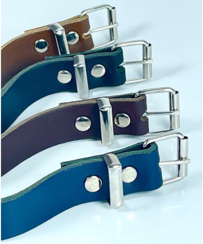 May include: Four leather dog collars with silver buckles. The collars are brown, dark brown, blue, and green.