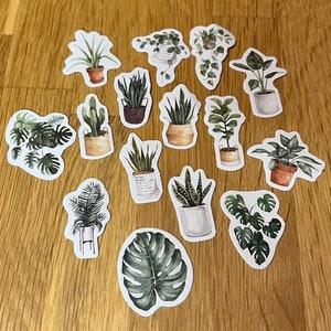 AUTOCOLLANTS - Plantes (paquets de assortiment de: tropical, eucalyptus ou succulent)