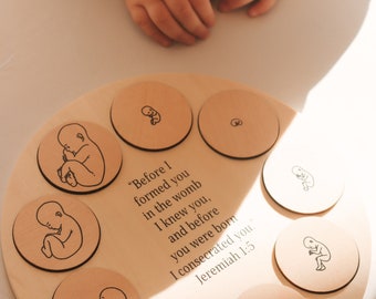 Miracle of Life Puzzle