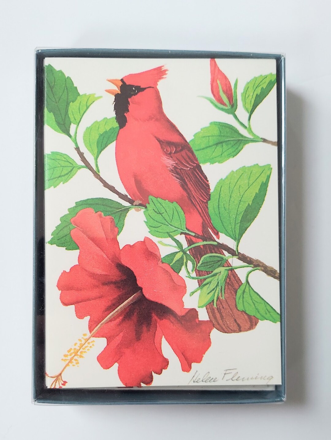 Cardinal Note Paper Cape Shore Red Cardinal Theme Blank Note Cards With Envelopes Set of 6 ...