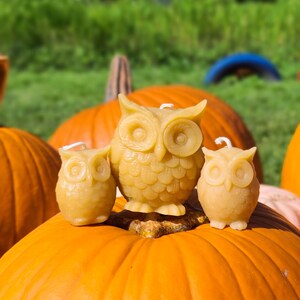 100% Pure Beeswax Owls