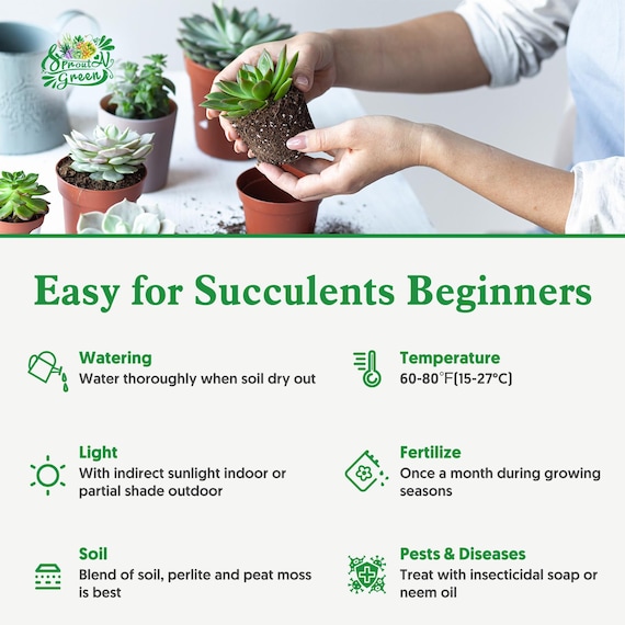 natural fertilizer for plants Sol Biotics main image 0