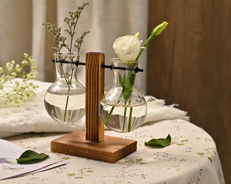 Propagation Bulbs Glass Vase With Wood Stand Office Home Etsy