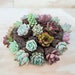 see more listings in the Assorted Succulents section