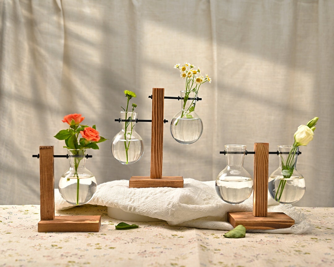 Propagation Bulbs Glass Vase With Wood Stand Office Home Etsy