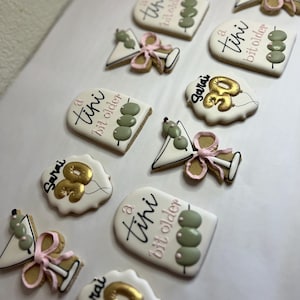 30th Martini a tini bit older Birthday Custom Decorated Sugar Cookies