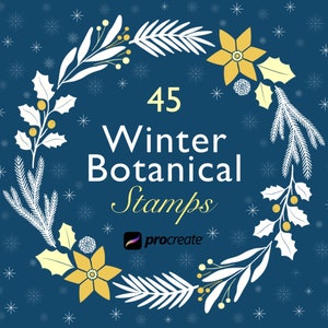 Procreate Winter Botanical Stamps, Winter Stamp Brushes, Christmas Botanicals, Procreate Stamp Set, Digital Stamps