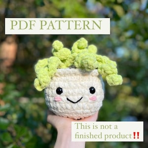 Poppy the plant PDF crochet pattern/ No sew plant pattern/ amigurumi pattern/ plant crochet tutorial/ amigurmi tutorial/ digital pattern