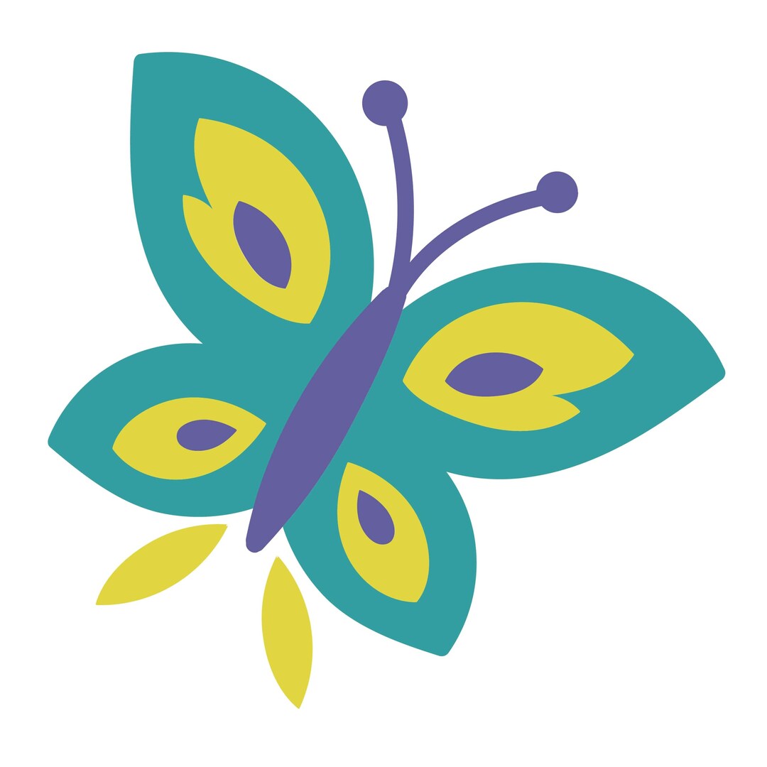 Qualityperfectionus Digital Download Encanto Butterfly Etsy Australia